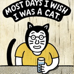 wish cat